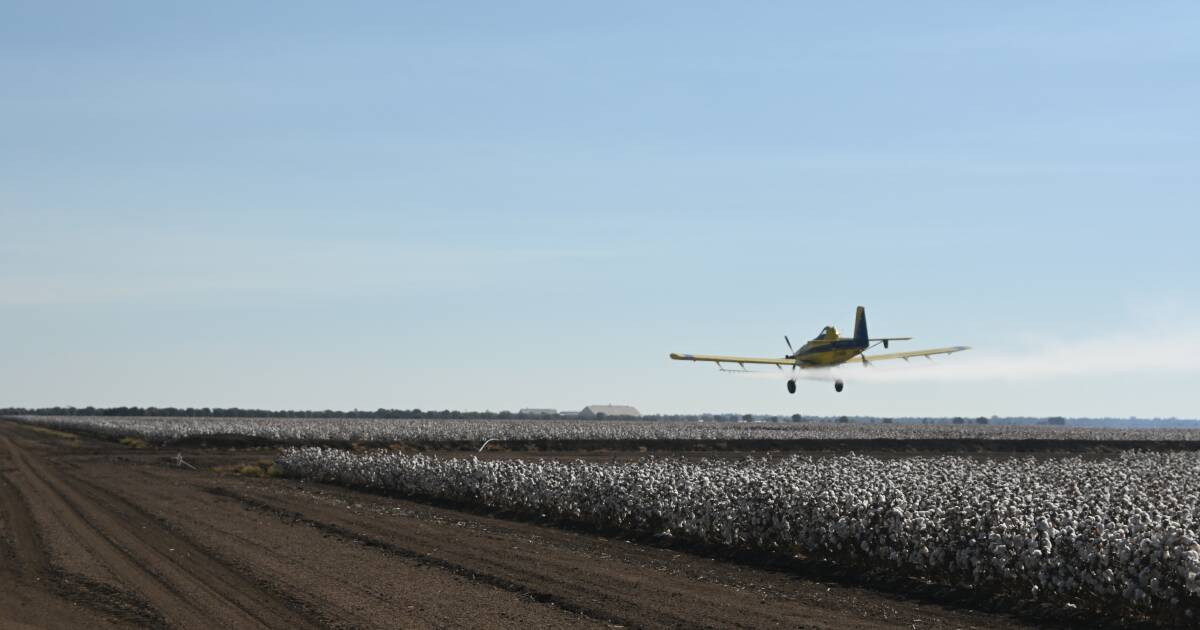 Crop millions lost when spray drifts