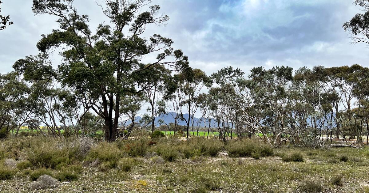 Bush block at Bluff Knoll's doorstep