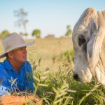 Warrego MP Ann Leahy calls for transparency in Wild Dog Barrier Fence funding | Queensland Country Life