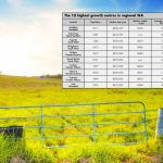 Whiteface and Euro cattle prices on par with the week at Wodonga | January 5