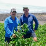 Cattle crushes stolen from northern NSW properties