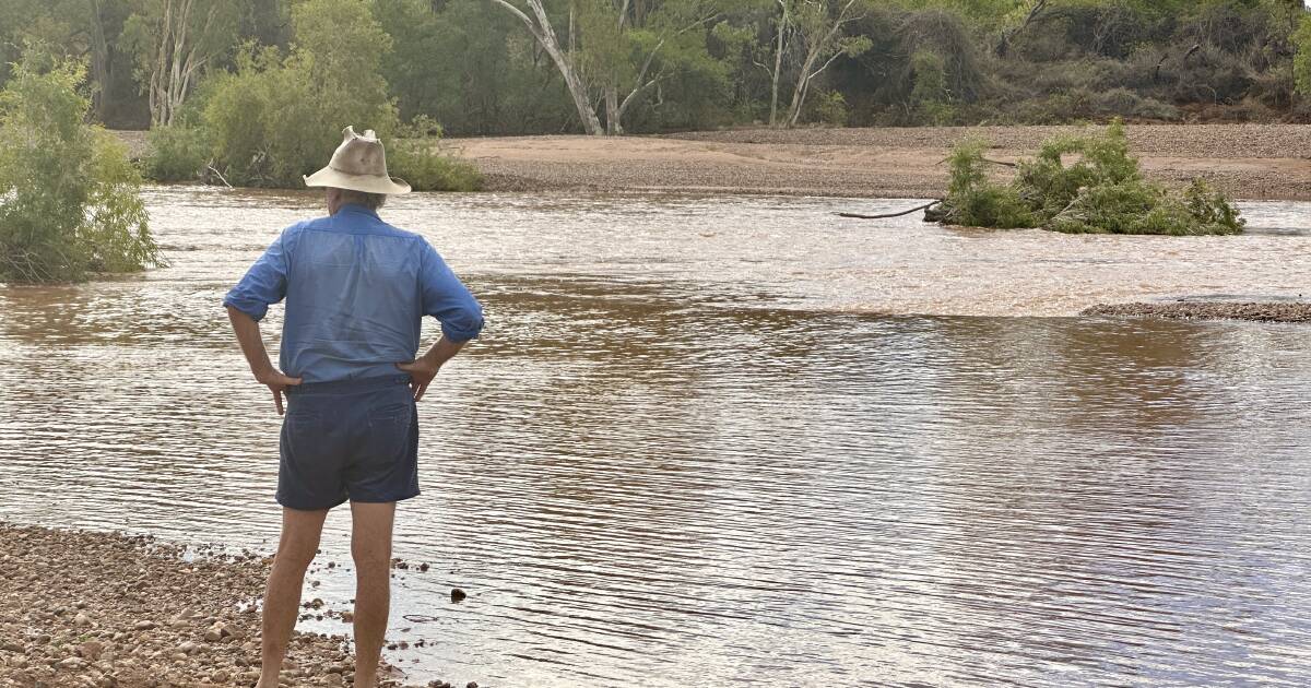 Outback Queensland and Northern Territory rejoice as dry creeks flow | Queensland Country Life