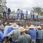 Katherine region station to face Government land clearing charges