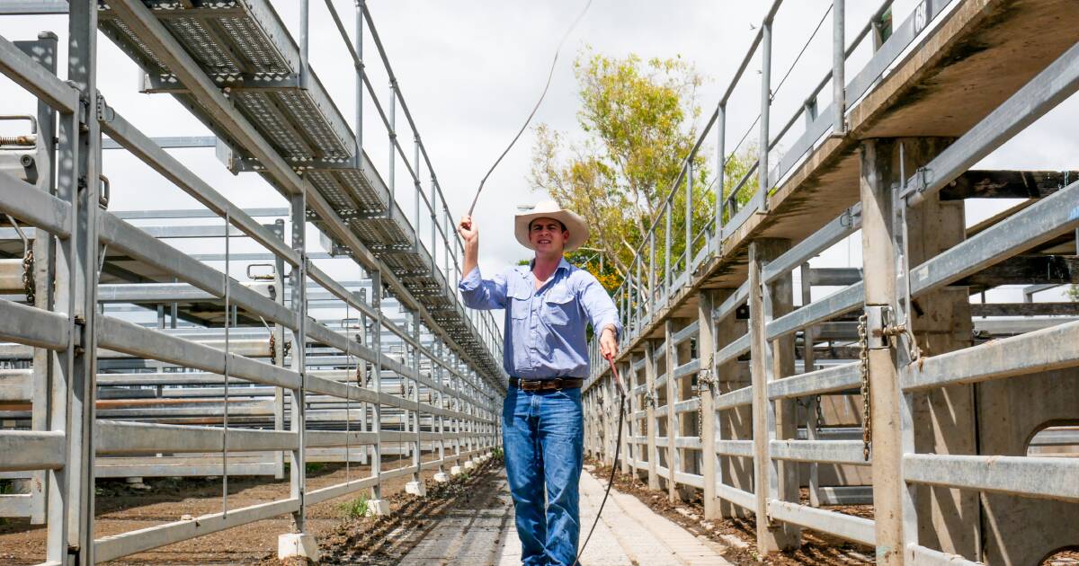 A cracking good livestock agent