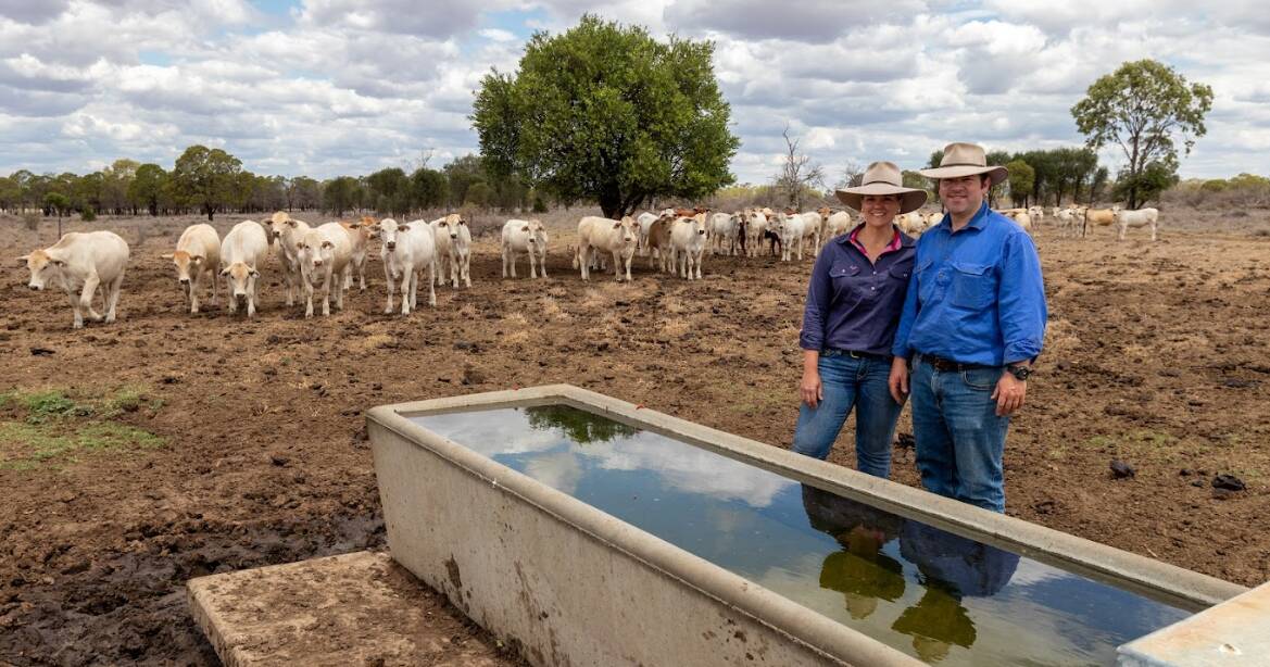 Drought resilience built in to Clark's Roma operation