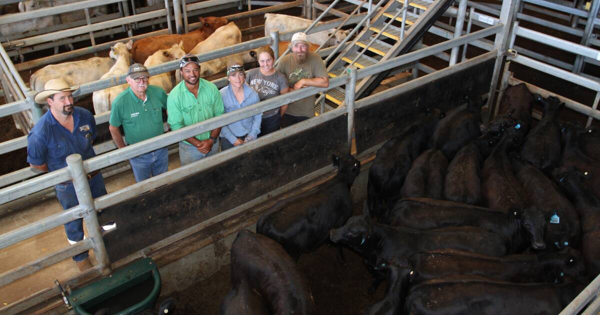 Beef weaner values top $1082 at Nutrien Livestock’s Muchea Livestock Centre | Farm Weekly