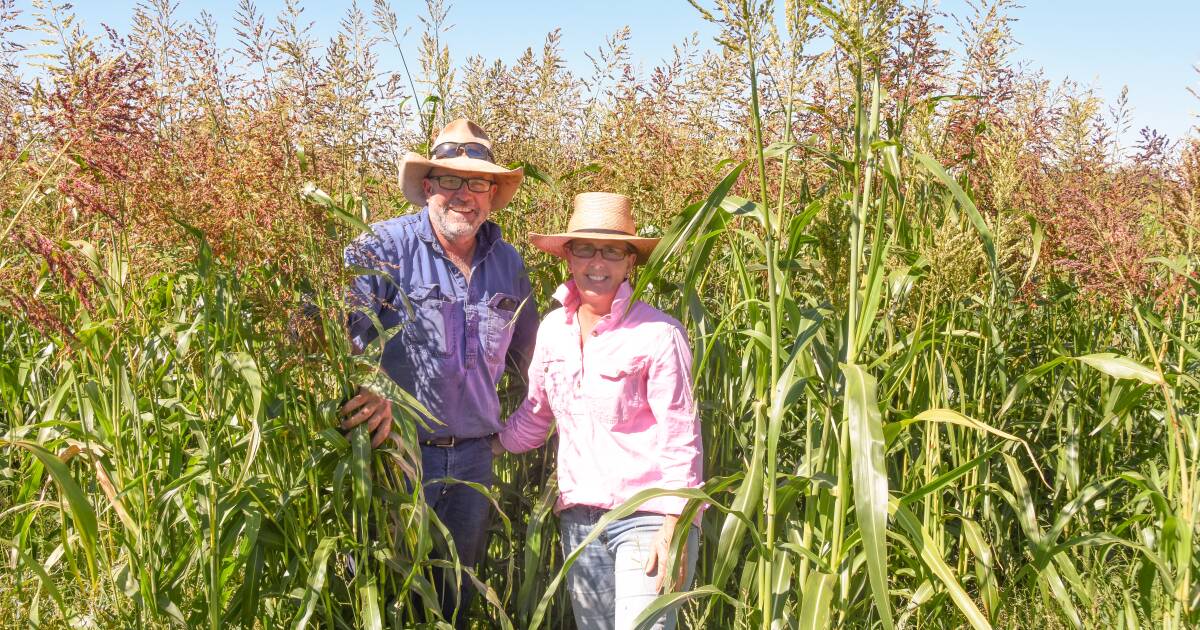 Take a critical look at the weather – and your farm plan – before knocking the BOM say the experts