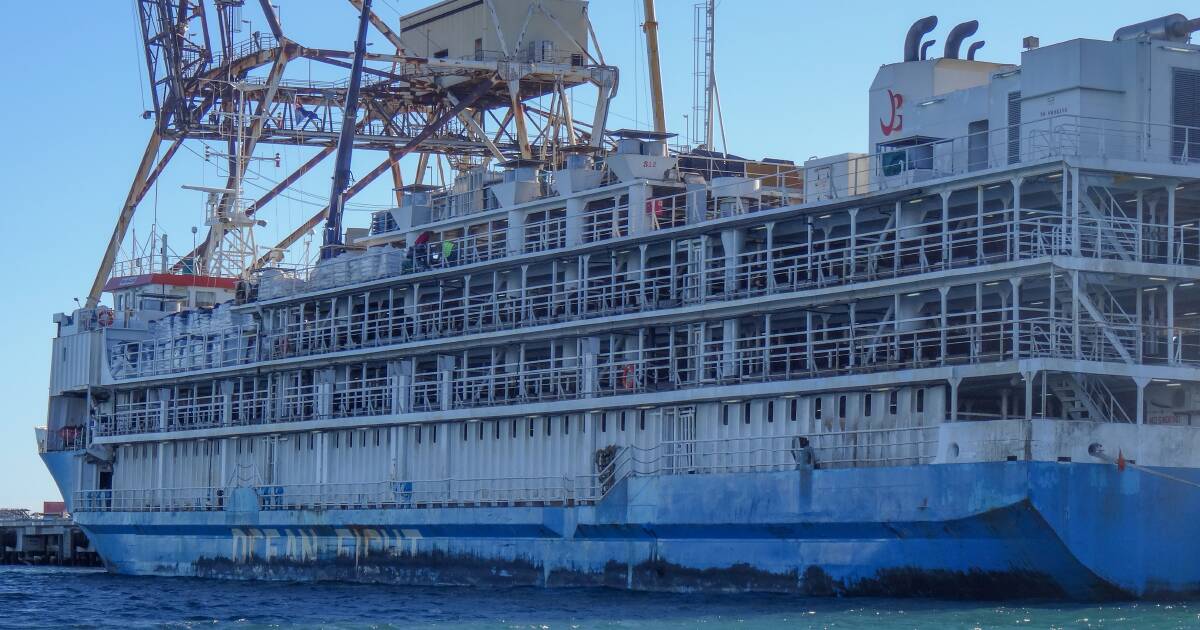 MV Bahijah back in Australian waters after Red Sea diversion | Farm Weekly