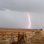 Forget BoM this farmer says swallows predict rain