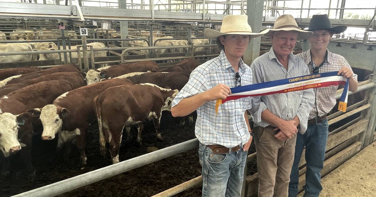 Feature lines attract repeat buyers at Wangaratta weaner sale