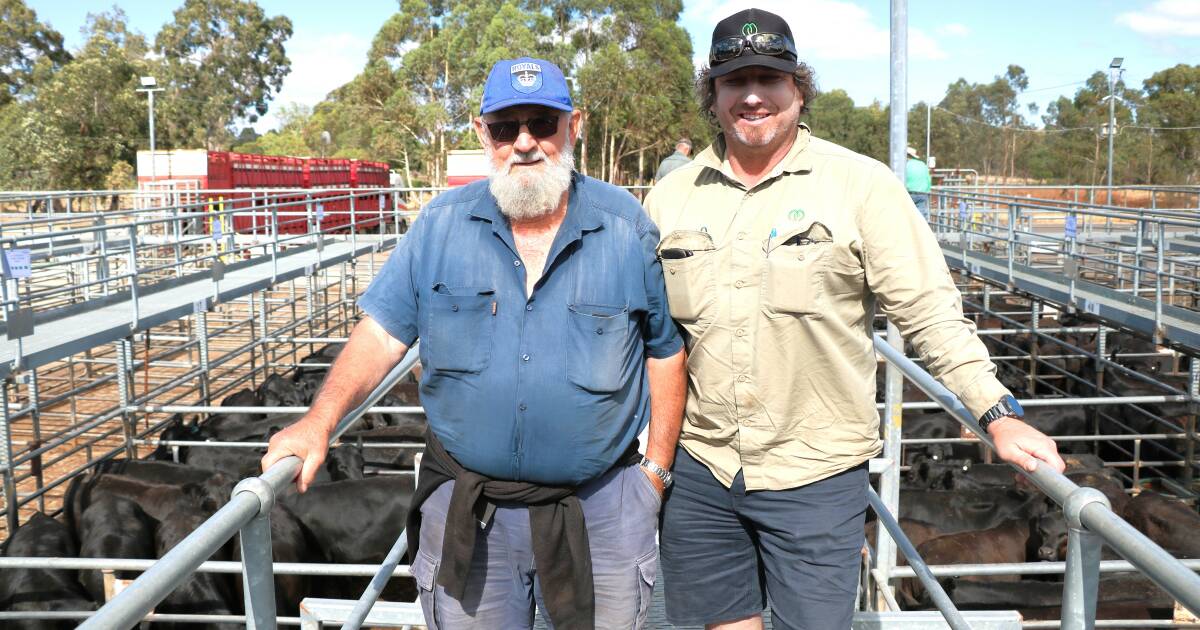 Weaner prices hold in first sale of 2024