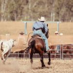 Two injured after B-double rollover in Riverina town