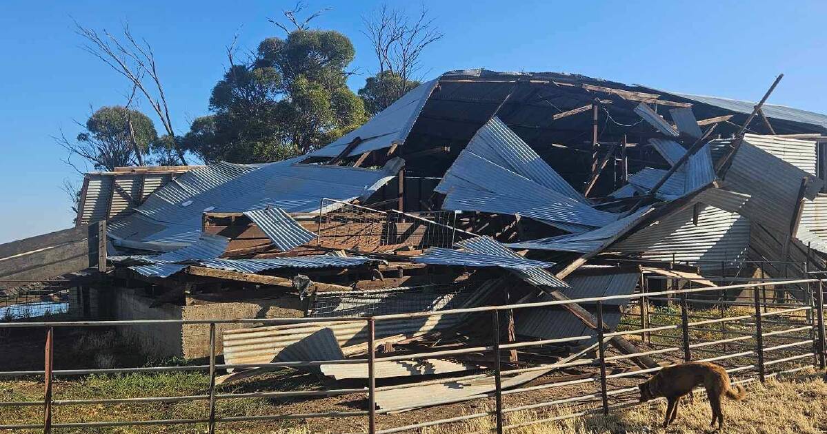 Storm takes out Bruce Rock shearing shed