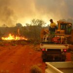 Rosemary Cochrane McLeod honored for service to historical preservation and community | Queensland Country Life