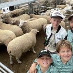 The 'extras' southern weaner buyers are chasing