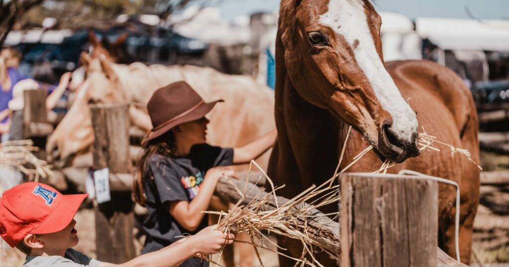 Kulin Bush Races to coincide with AFL Grand Final weekend | Farm Weekly