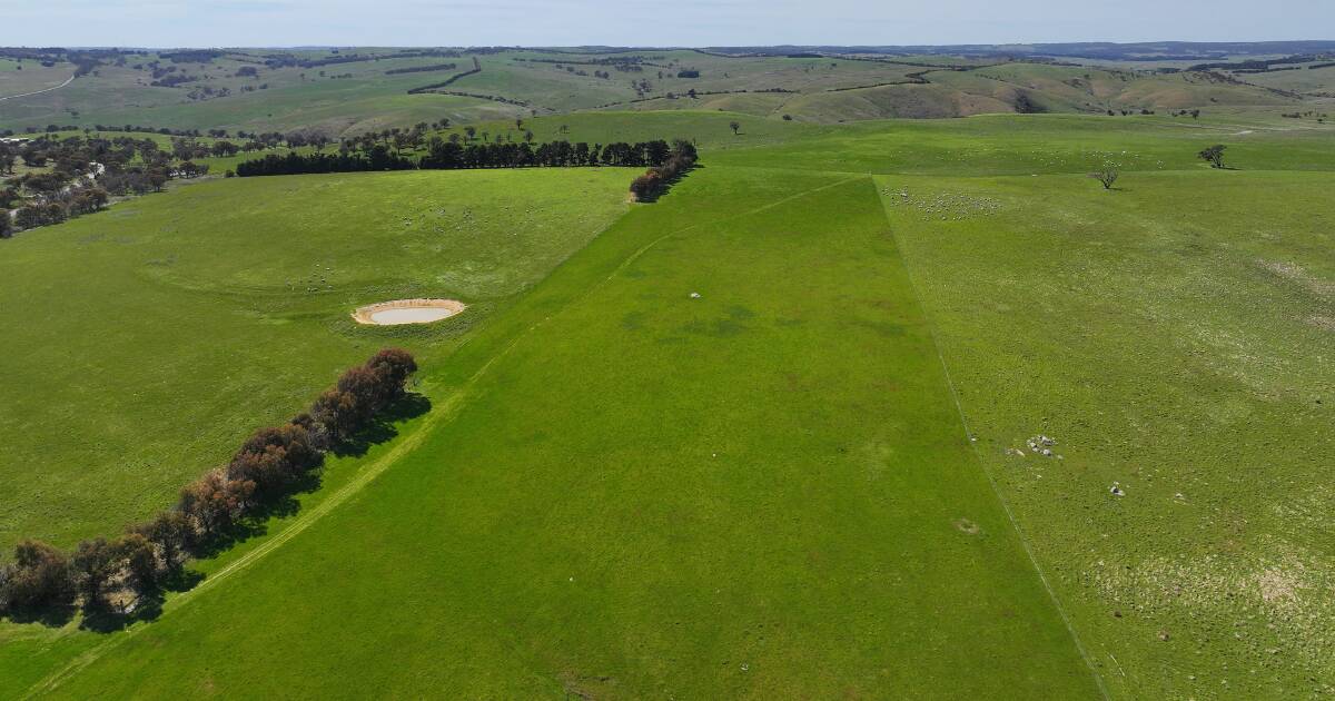 Rosemont and Clovelly: Prime grazing properties on NSW’s Southern Tablelands | The Land