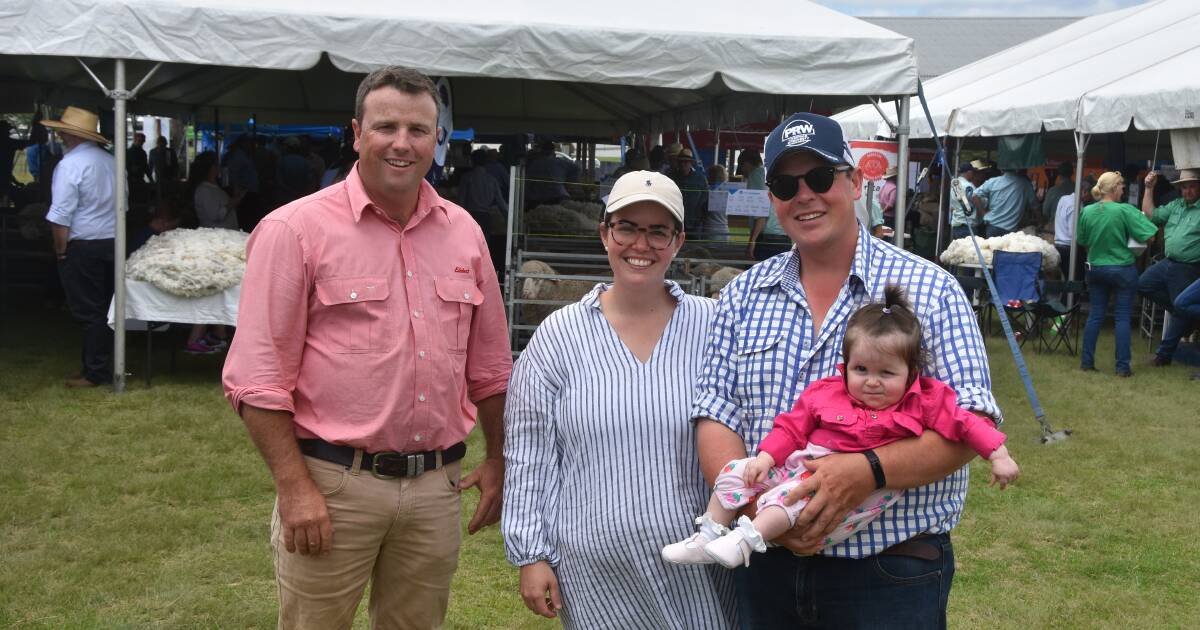 Photos from the 2024 New England Merino Field Day