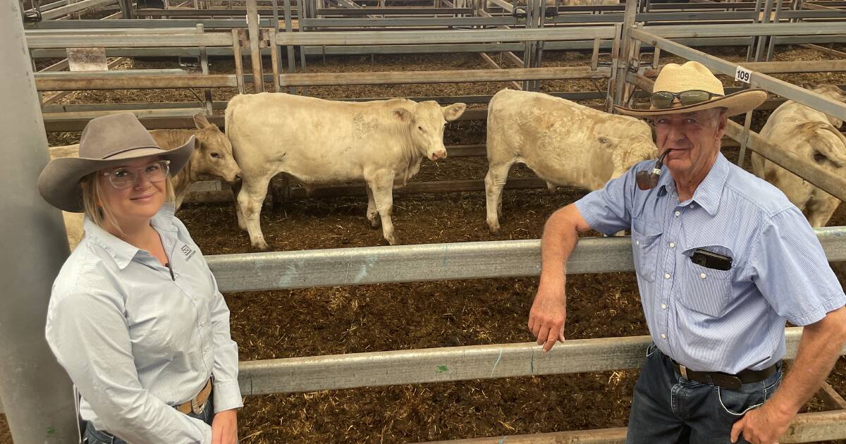 Whiteface and Euro weaners shine at Wodonga | Photos