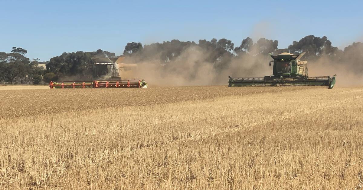 Perfect weather for Narembeen community cropping effort