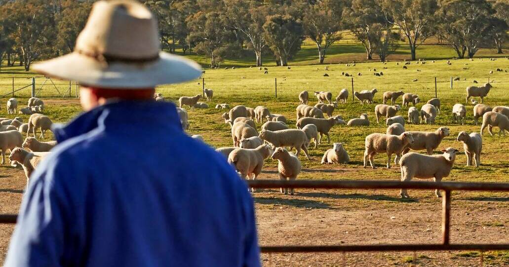 Young WA farmers take a collaborative approach