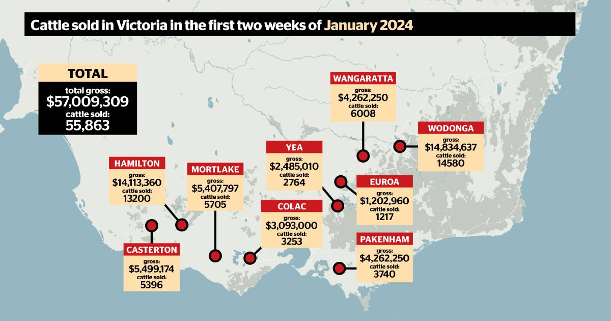 The best-performing Victorian saleyards after the 2024 weaner sales