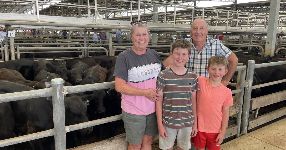 Locals and northern buyers support first Wangaratta feature weaner sale