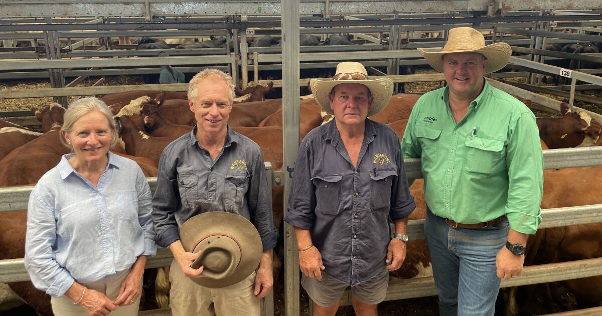 Very strong sale across the board for Wodonga females