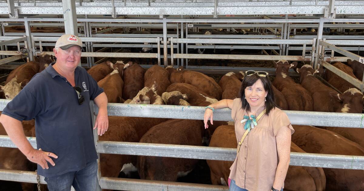 Solid result for all breeds sale at Wodonga | Photos