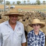 Cracking soil constraints at Lockhart