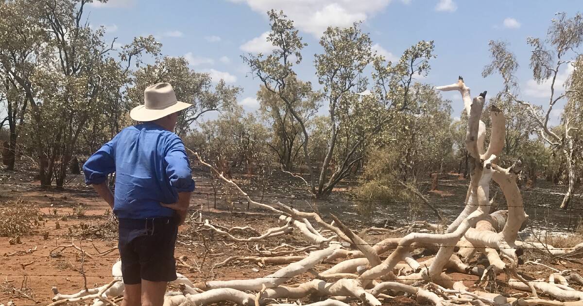 Monsoon welcomed at burnt Gipsy Plains