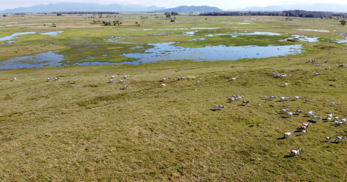 Quality Allingham cattle country on the market after 150 years