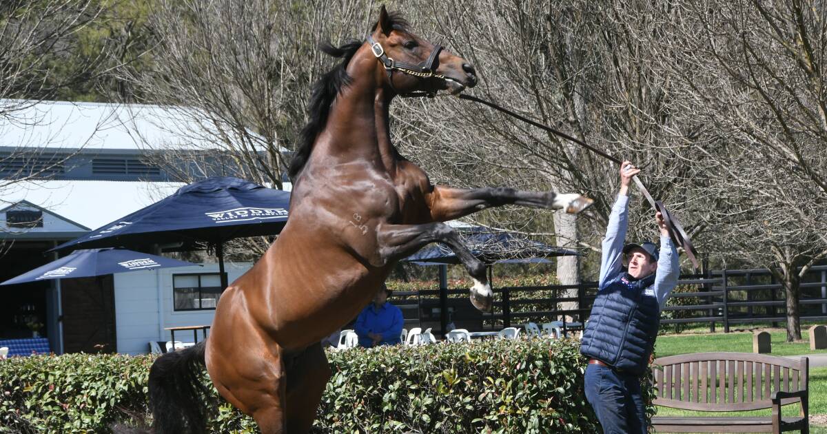 Rag Queen salutes in style at Canterbury Park