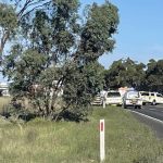 Bundaberg MP reassures growers about Paradise Dam water security | Queensland Country Life