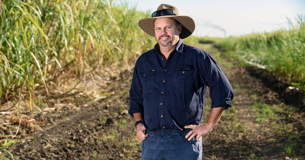 Queensland canegrowers call for fairer local government rating policies | Queensland Country Life