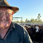 Optimism at Dalby Saleyards with strong start to the year