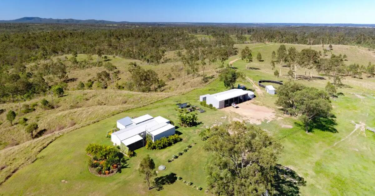 Freehold grazing property for 350 cows hits the market | Video