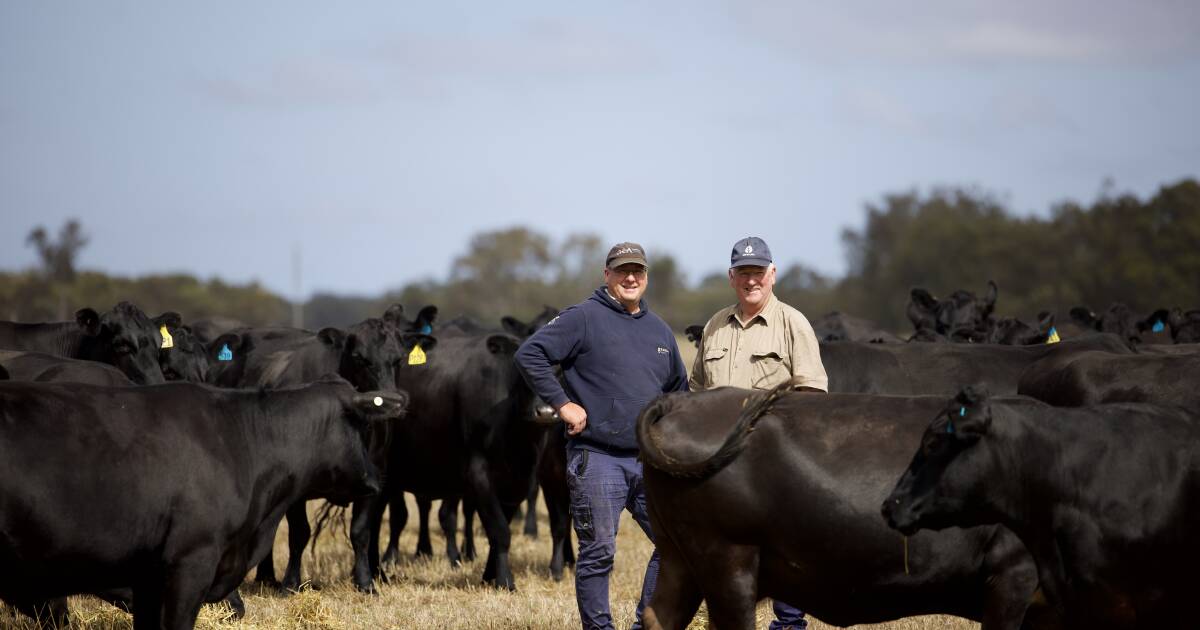 Narrikup farmers success with Angus cattle and dairy business | Farm Weekly