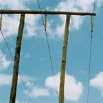 Forget BoM this farmer says swallows predict rain