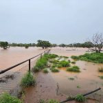 Barcaldine local David Kerrigan honoured in Australia Day honours List | Queensland Country Life