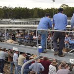 Telecommunications failures during natural disasters in Wheatbelt | Farm Weekly