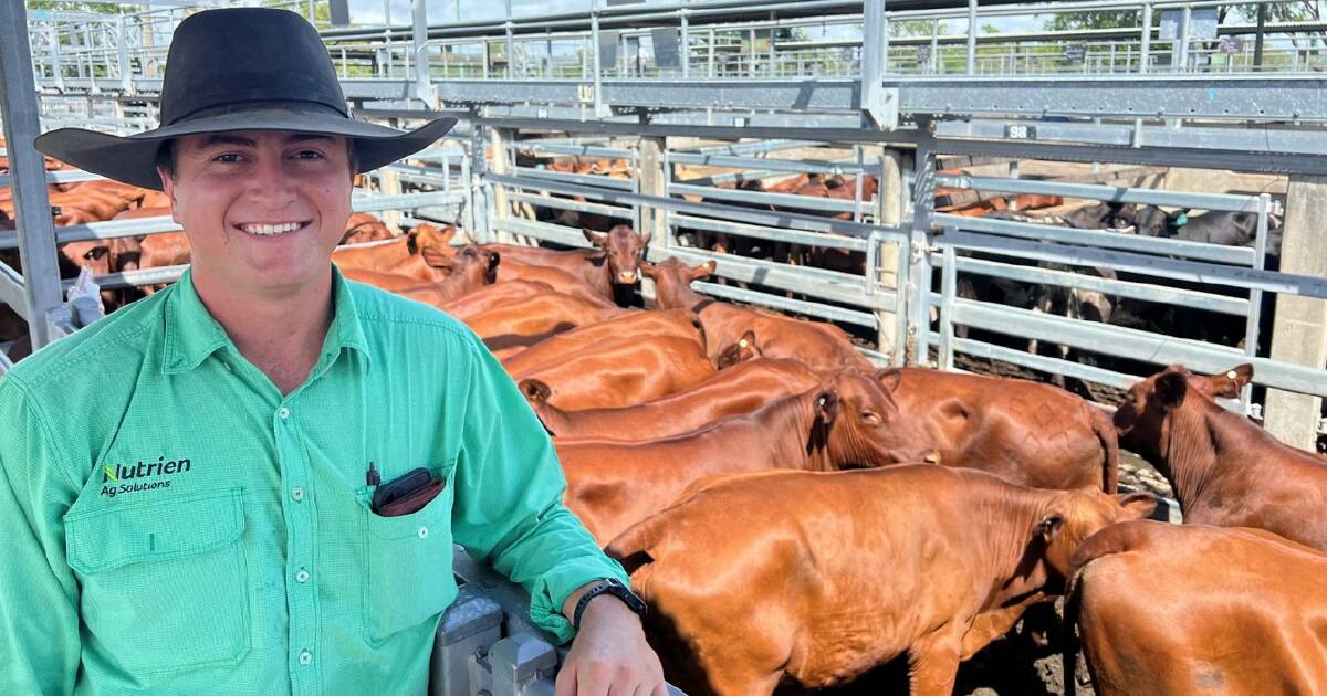 Rain adds buzz to Gracemere sale