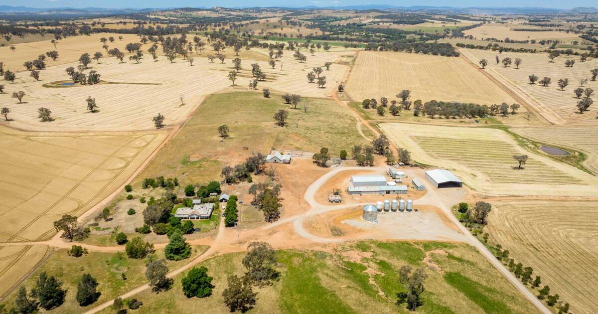 Superb country well suited to both cropping and grazing | Video