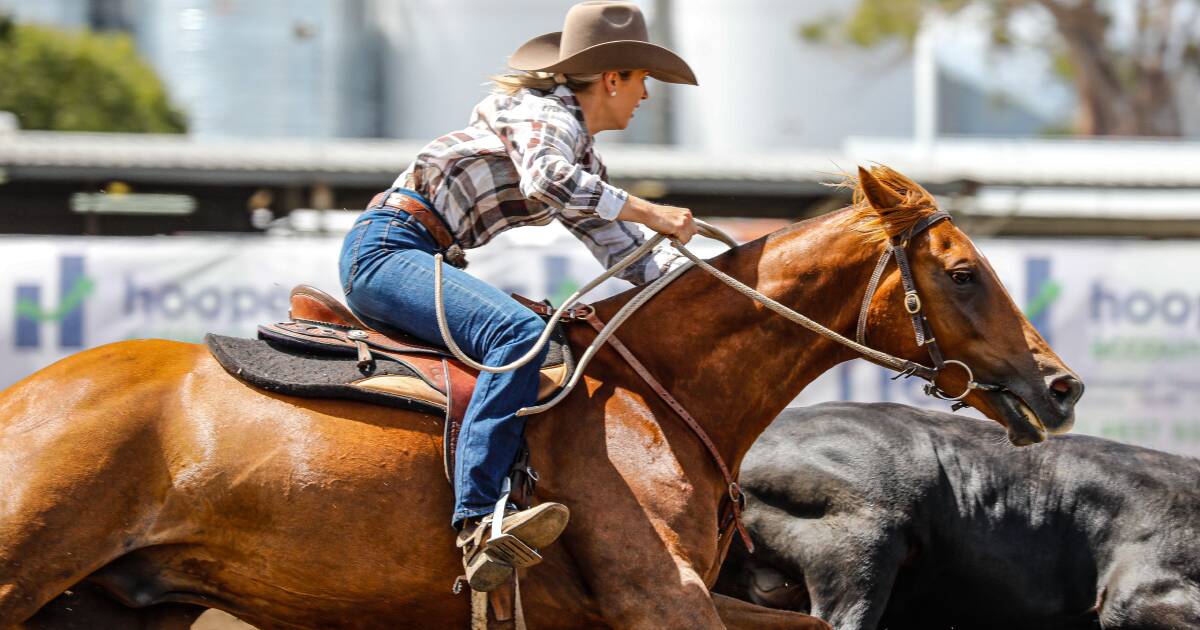 New campdraft association born from need for more events