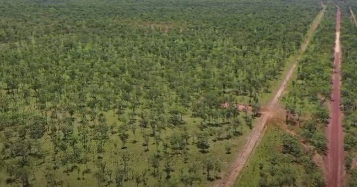 Katherine region station to face Government land clearing charges