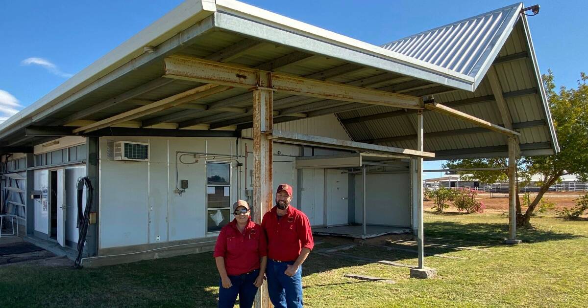 Jemco Meats starts online meat orders and deliveries in Longreach | Queensland Country Life