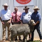 Narromine harvest ball raises $5000 for local hospital auxiliary