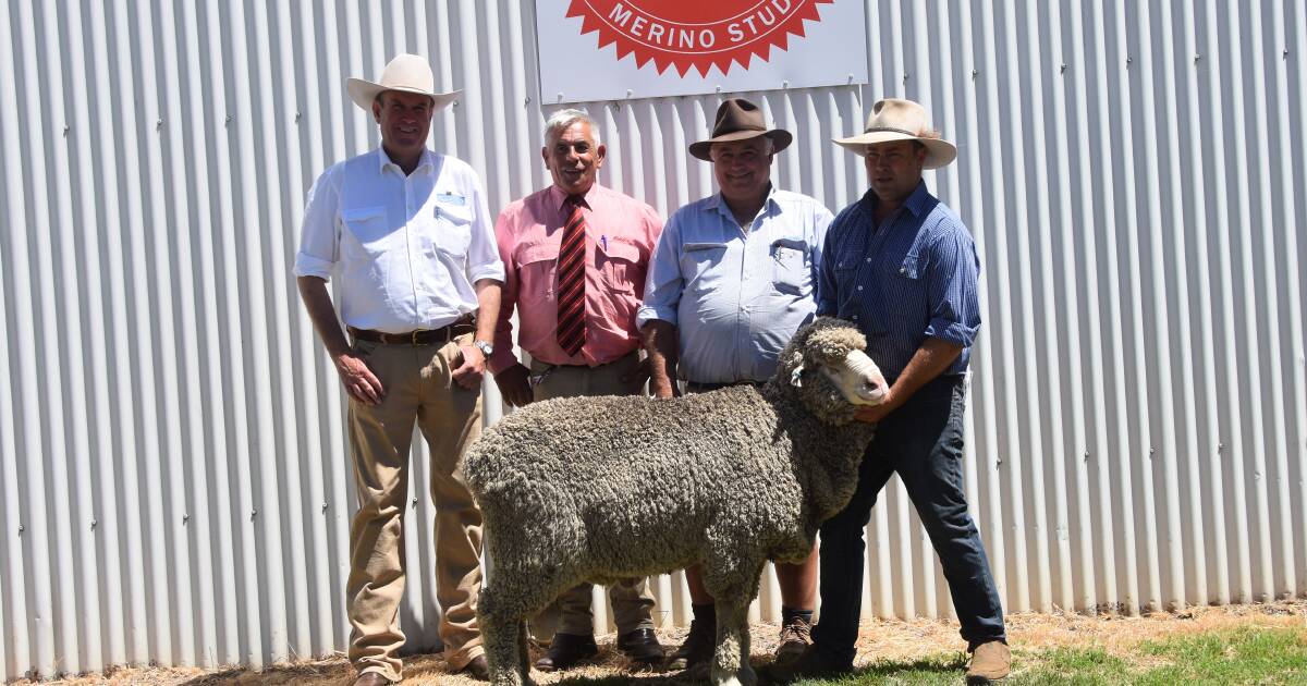 Nerstane Merino to $15,000