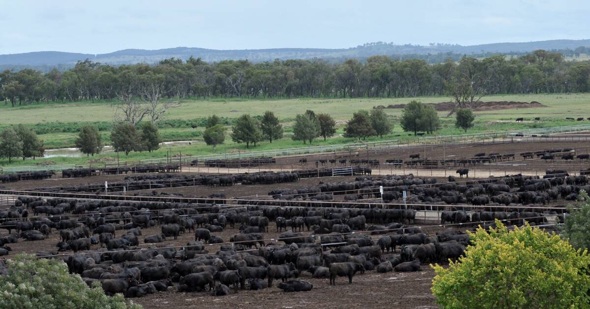 Carbon reporting for big agriculture up for debate