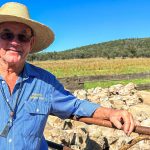 Confidence is high in lead up to 2024 Big Country Brahman sale | North Queensland Register